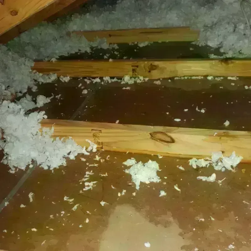 Attic Water Damage in Hazel Park, MI