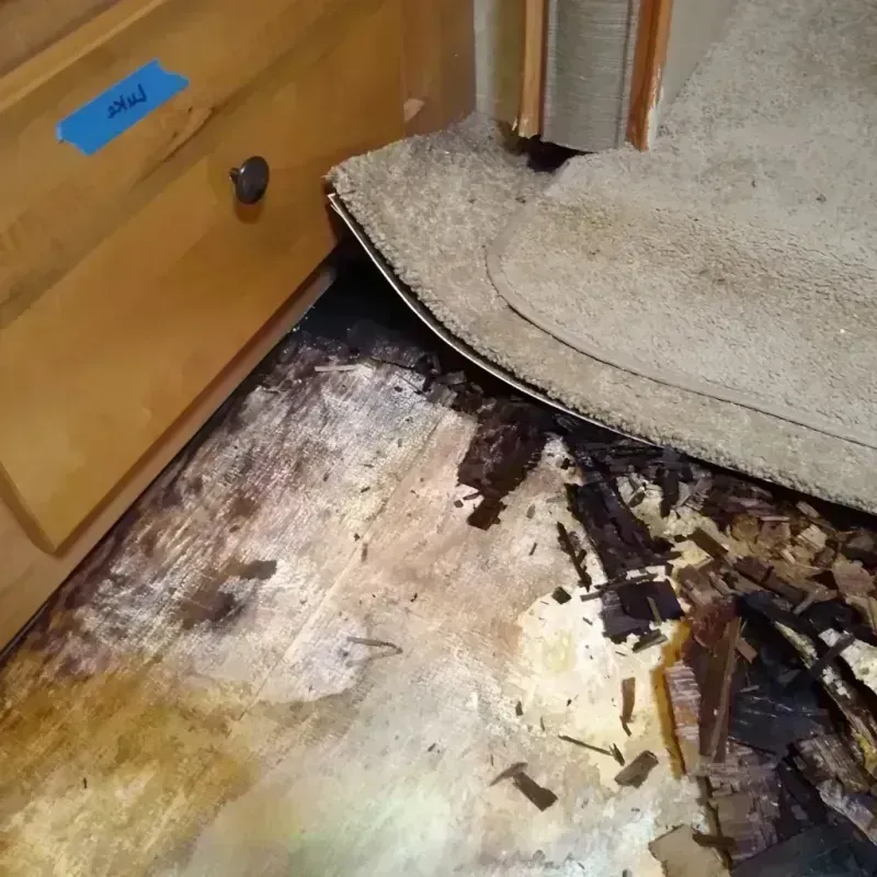 Wood Floor Water Damage in Hazel Park, MI